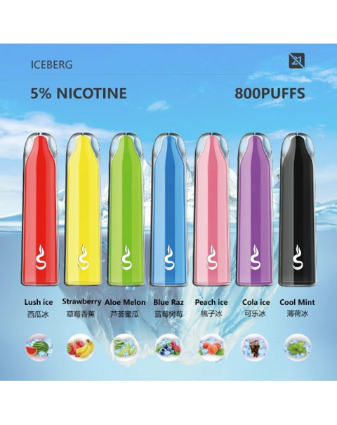 Smoker Chat Disposable Vape Device 800 Puffs 400mAh